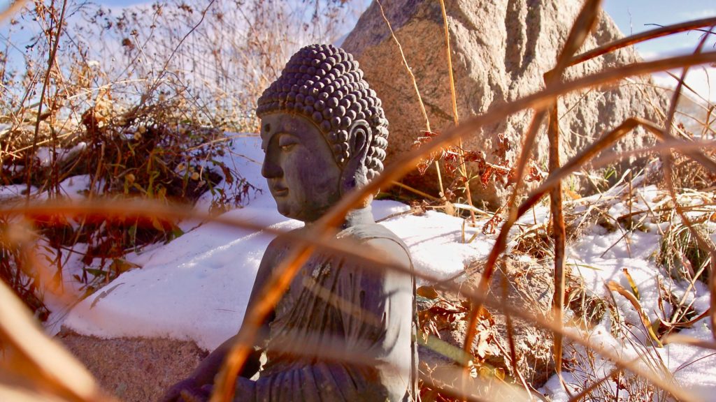 Ithaca Zen Center buddha in frozen lotus pond